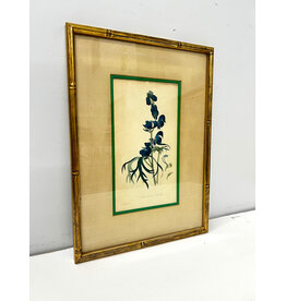 Aconitum Napellus, framed vintage botanical print
