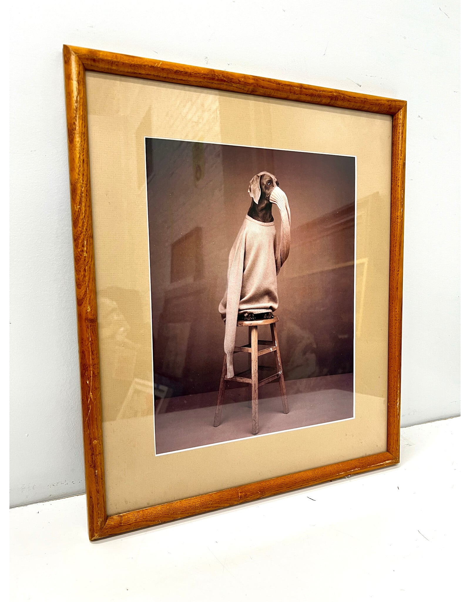 Framed William Wegman print