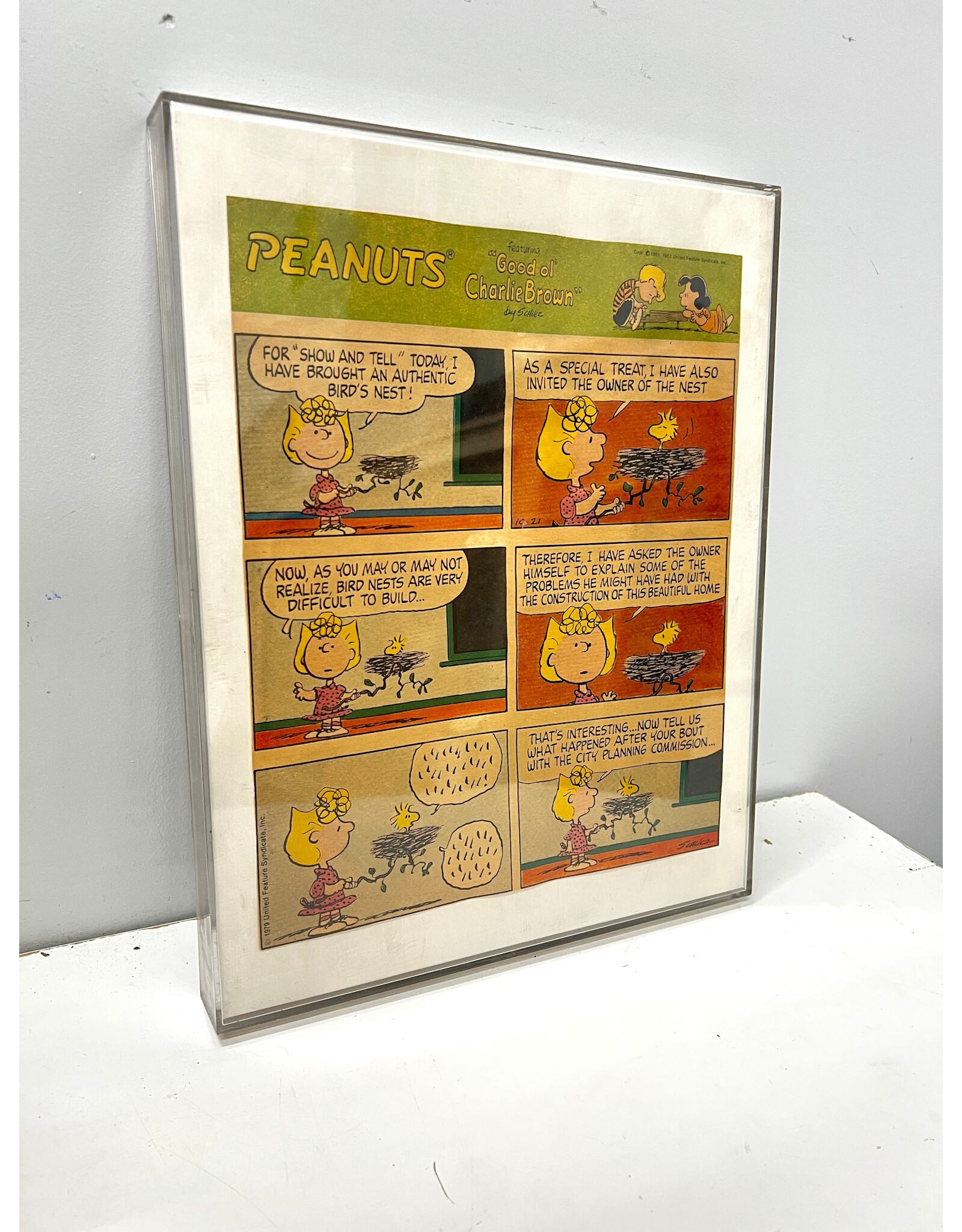 Framed Peanuts Comic