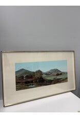 Bird's Eye, screenprint, Daniel Chard