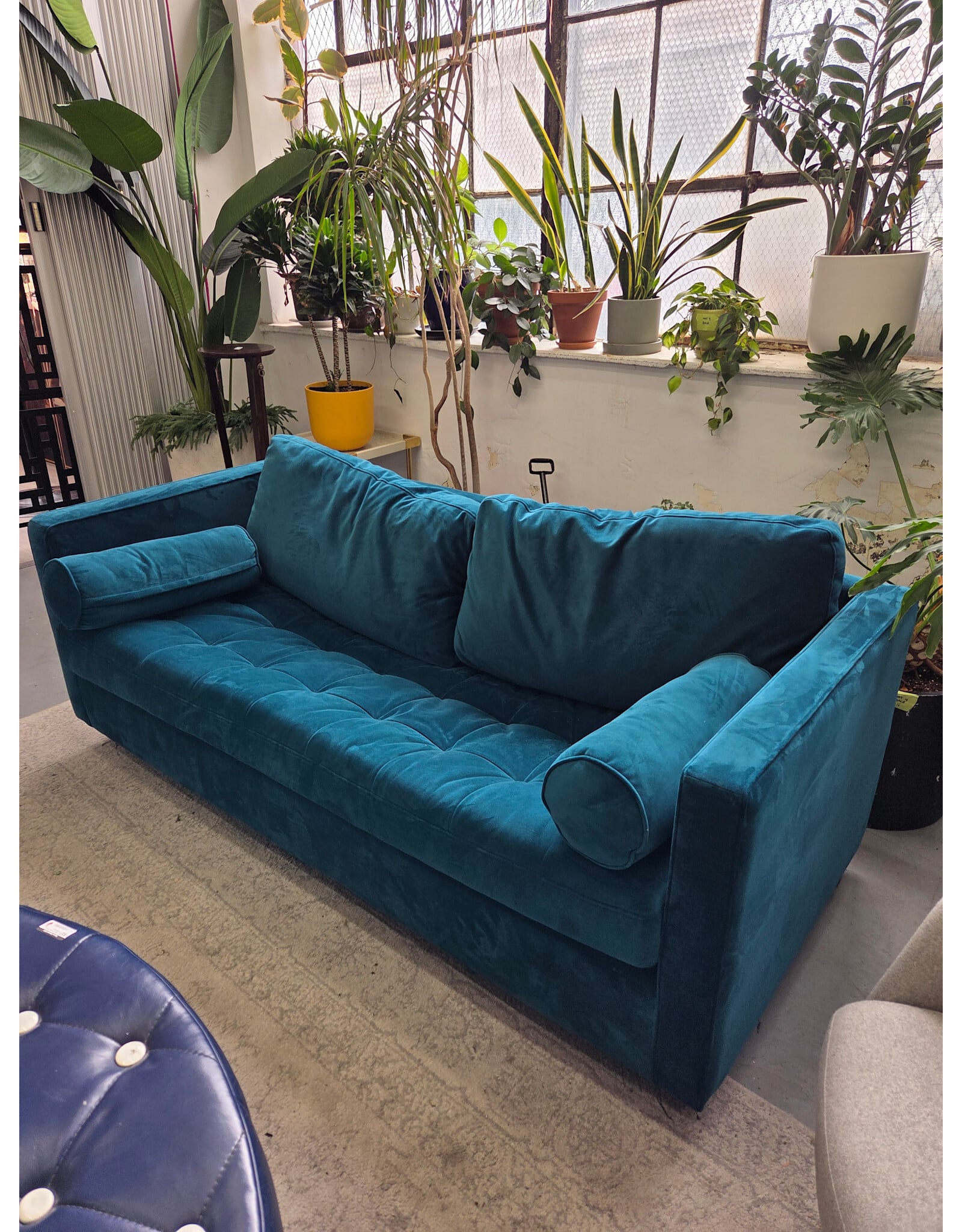 JoyBird Briar Peacock Sleeper Sofa AS IS (NO MATTRESS)