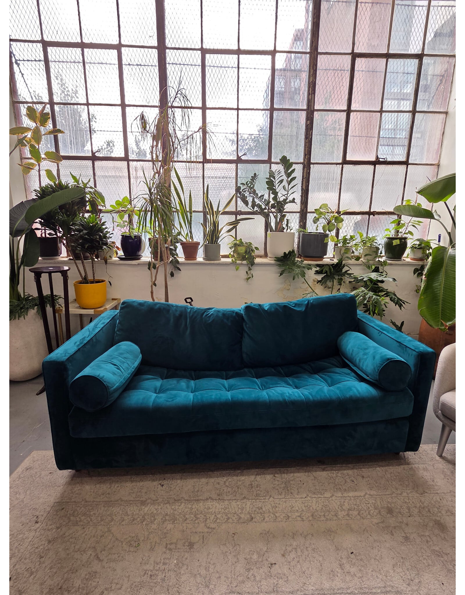 JoyBird Briar Peacock Sleeper Sofa AS IS (NO MATTRESS)