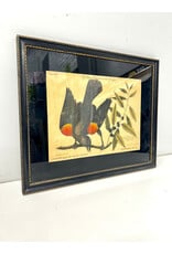 Vintage Natural History Engraving of a Red-Winged Blackbird