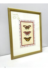 Vintage Style Butterfly Print--AS IS