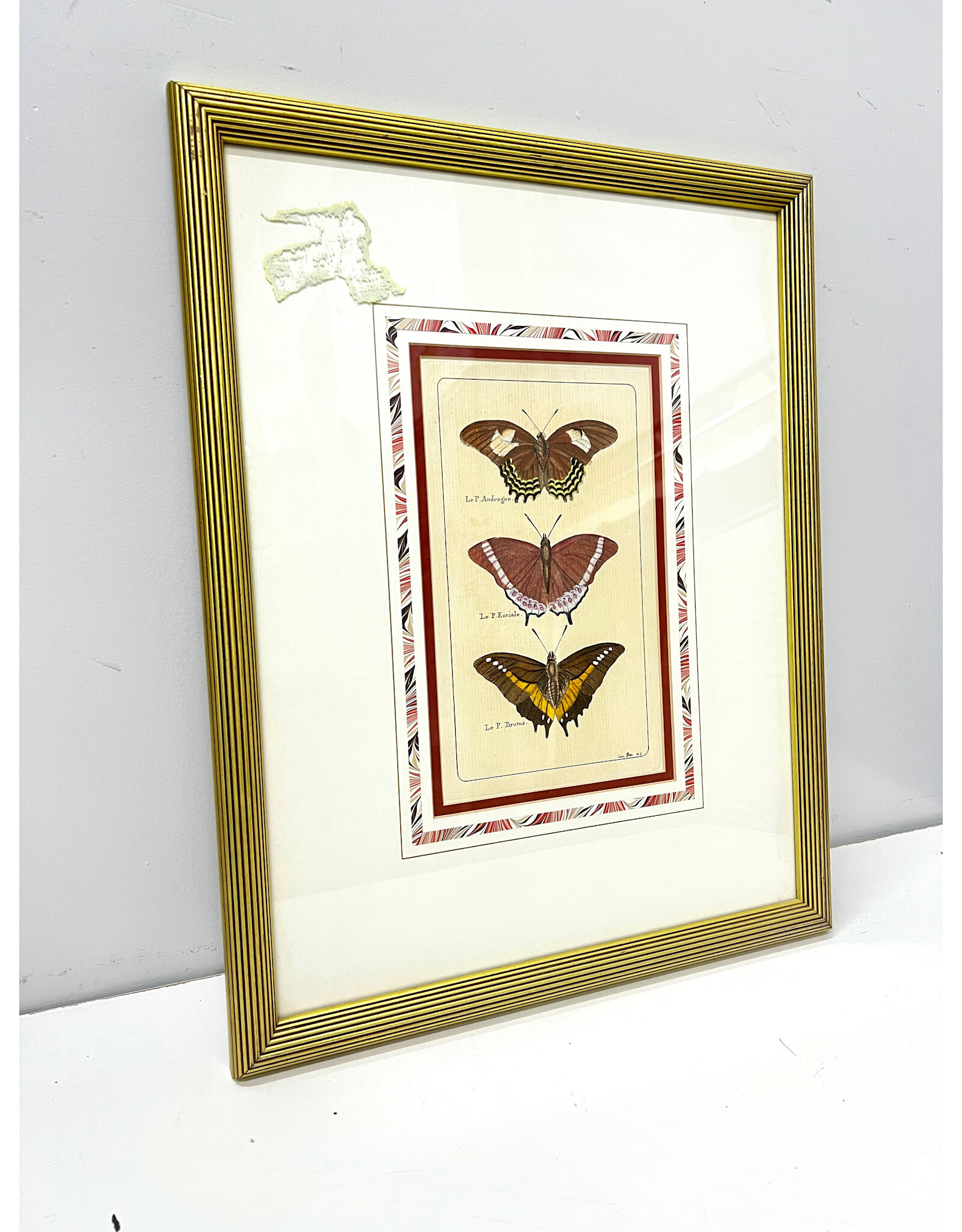 Vintage Style Butterfly Print--AS IS
