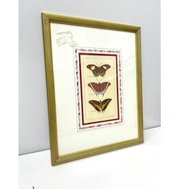 Vintage Style Butterfly Print--AS IS