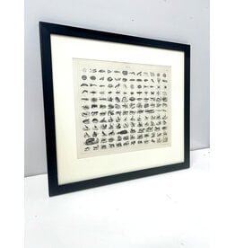 Antique Animal Kingdom Lithograph