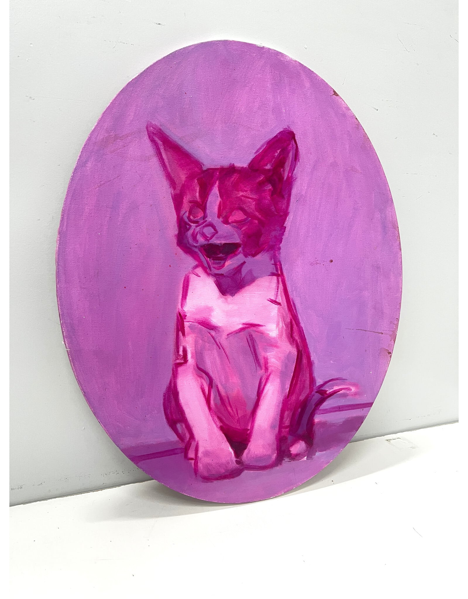 Study of a Cat in Fuchsia, painting on canvas--AS IS