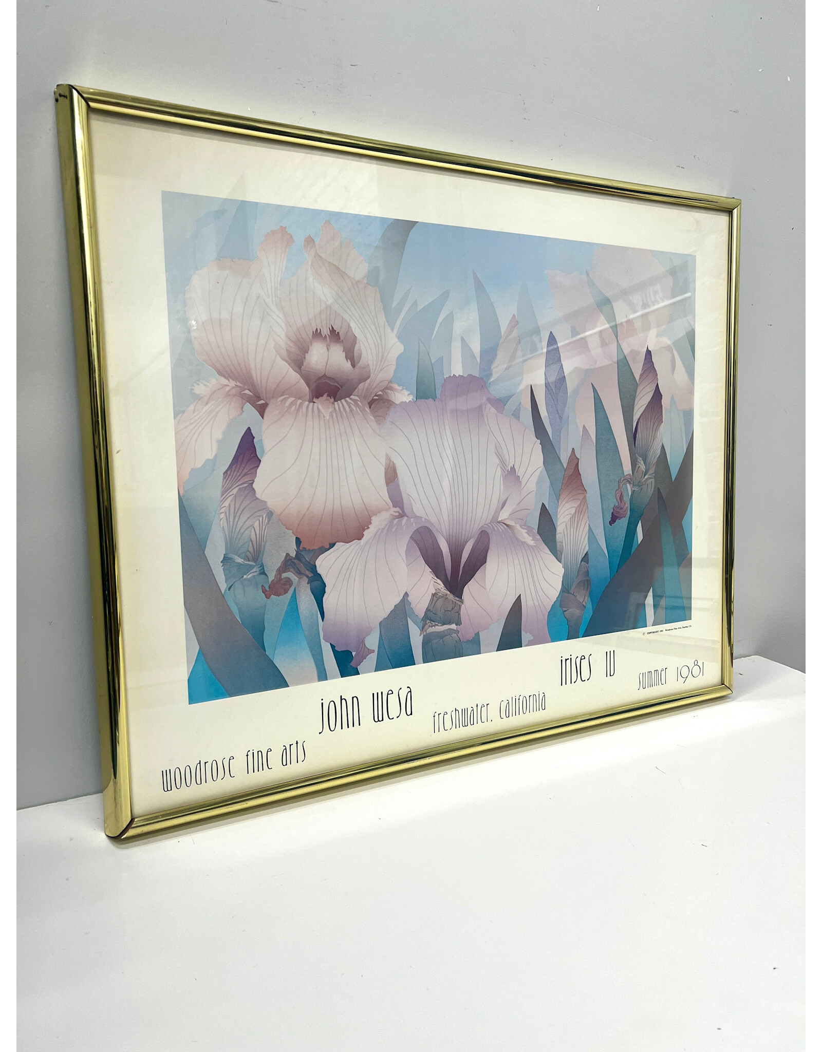 John Wesa-Irises IV, framed poster