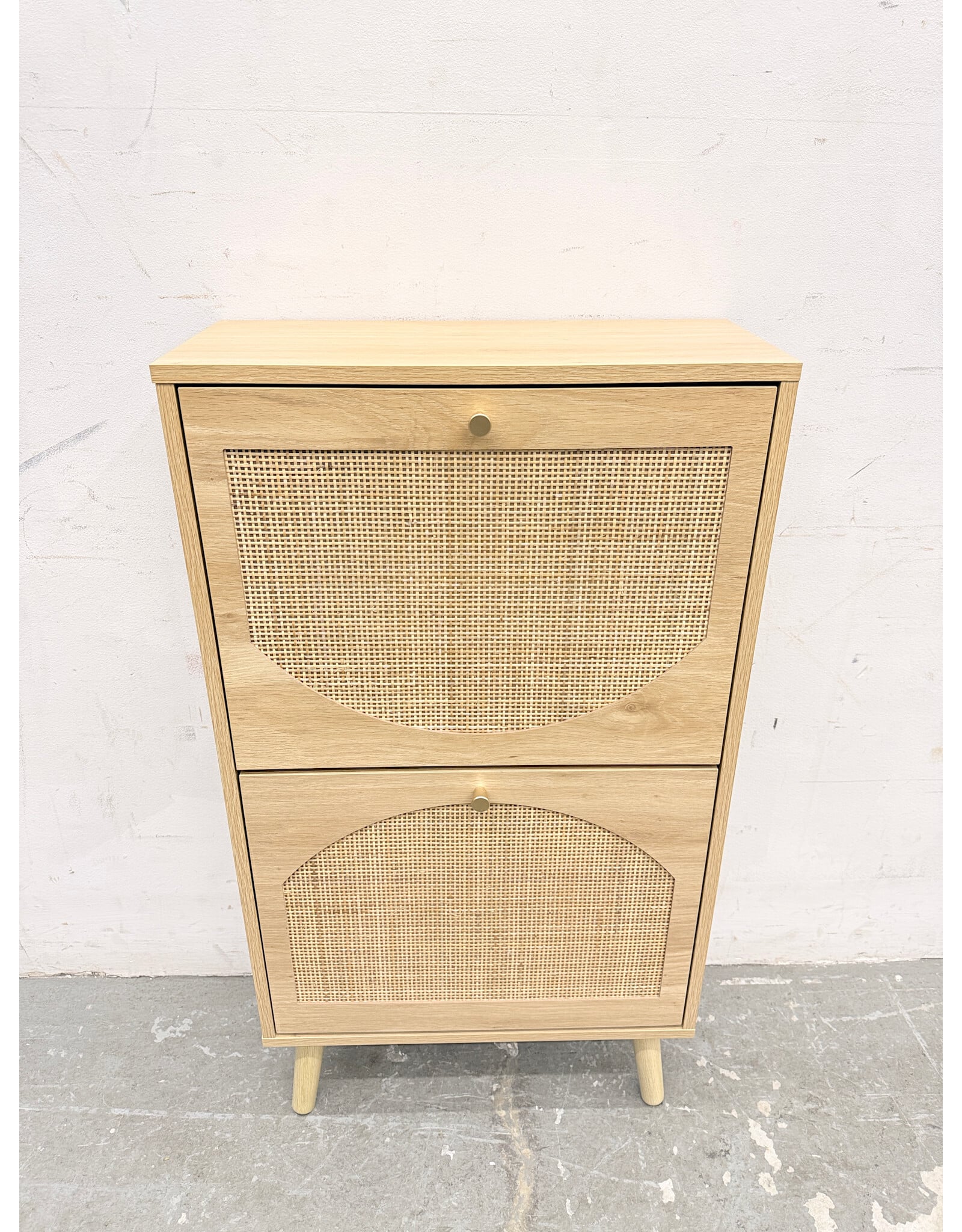 Modern 2-Door Wood Slim Shoe Cabinet