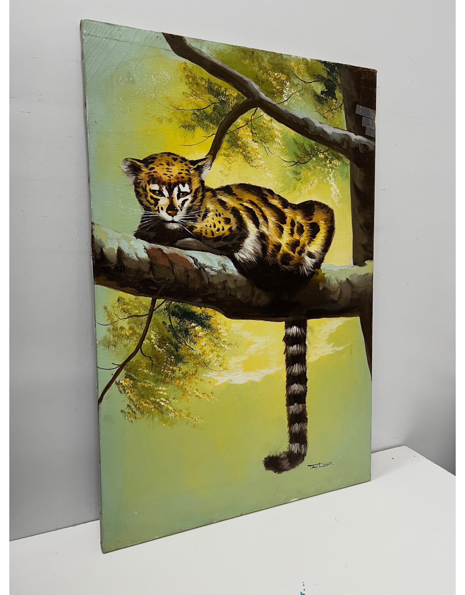 Leopard, painting on canvas, sgnd Taylor