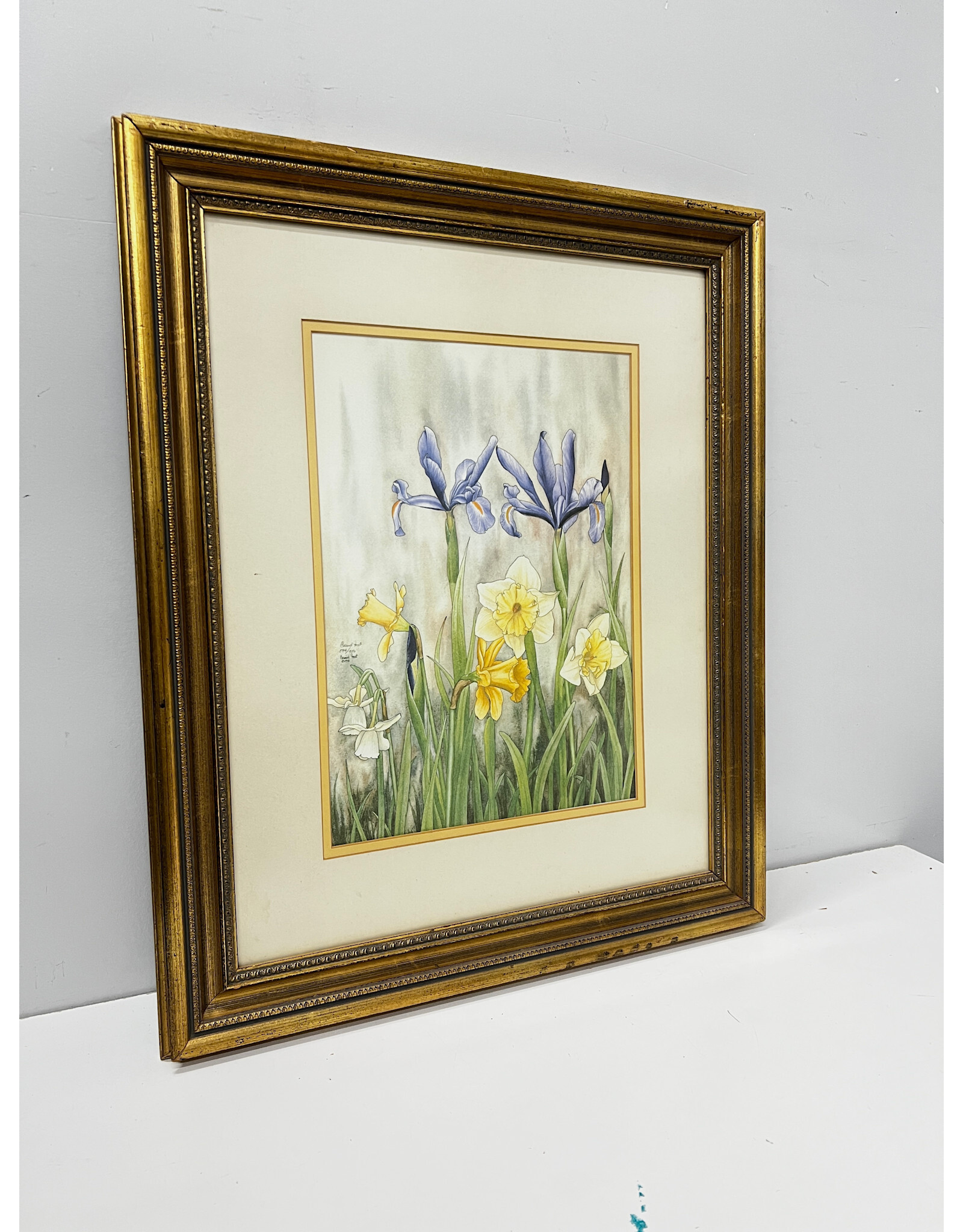 Irises & Daffodils, framed print by Carmel Foret, 594/950