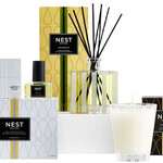Candles & Home Scents