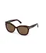 TOM FORD Alistair Sunglasses - Dark Havana