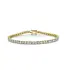 SHY CREATION Stella - Diamond Tennis Bracelet - Yellow Gold