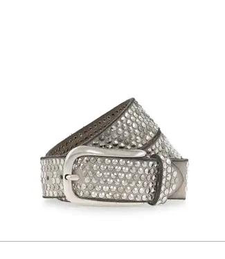 B.Belt Zoe Silver Belt - Taupe