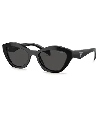 PRADA Butterfly-Acetate Sunglasses