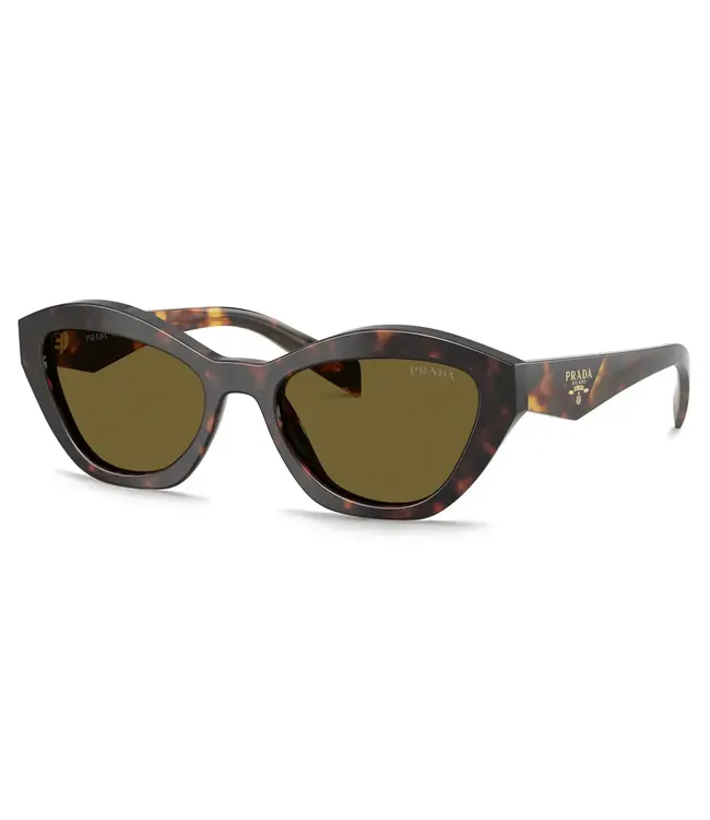 PRADA Butterfly-Acetate Sunglasses