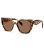 PRADA Honey Tortoise Square-Butterfly Sunglasses