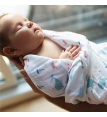 Perlimpinpin Perlimpinpin 100% Cotton Muslin Swaddle Blanket