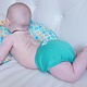 Nuggles Nuggles Bittees Stay Dry Newborn and Small Cloth Diapers