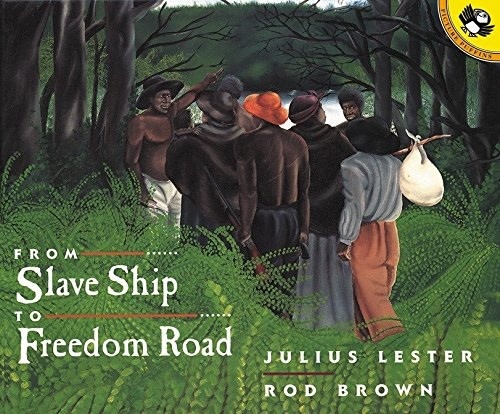 From Slave Ship to Freedom Road by Julius Lester (8+)