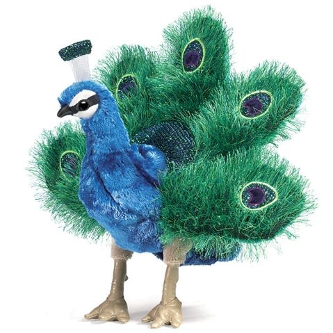 Small Peacock