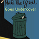 Nate the Great by Marjorie Weinman Sharmat (ages 5+)