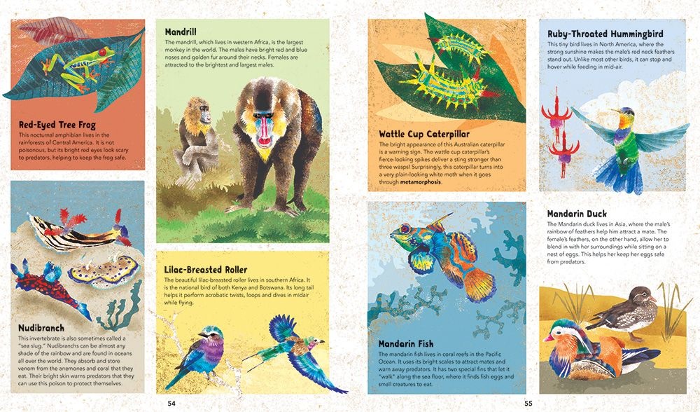 Barefoot Books Incredible Animals by Dunia Rahwan (ages 8-12)