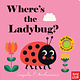 'Where's the..' Lift-the-flap books by Nosy Crow (ages 0-3)