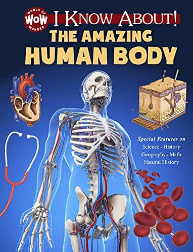 The Amazing Human Body (10+)