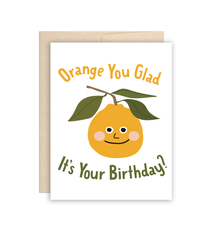 The Beautiful Project Orange you glad it's your birthday?