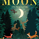 Moon: A Peek-Through Board Book by Britta Teckentrup (ages 0-3)