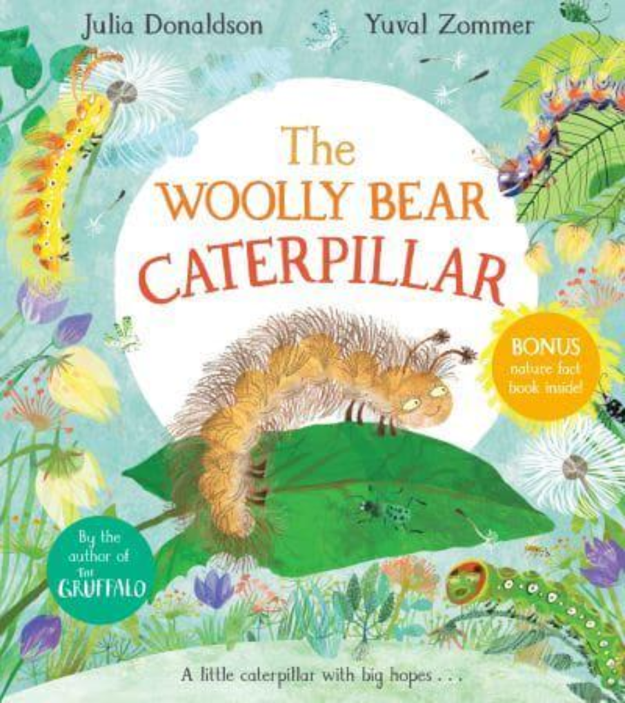 The Woolly Bear Caterpillar by Julia Donaldson (3+)