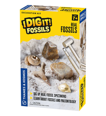 Thames & Kosmos I Dig It! Fossils (7+)