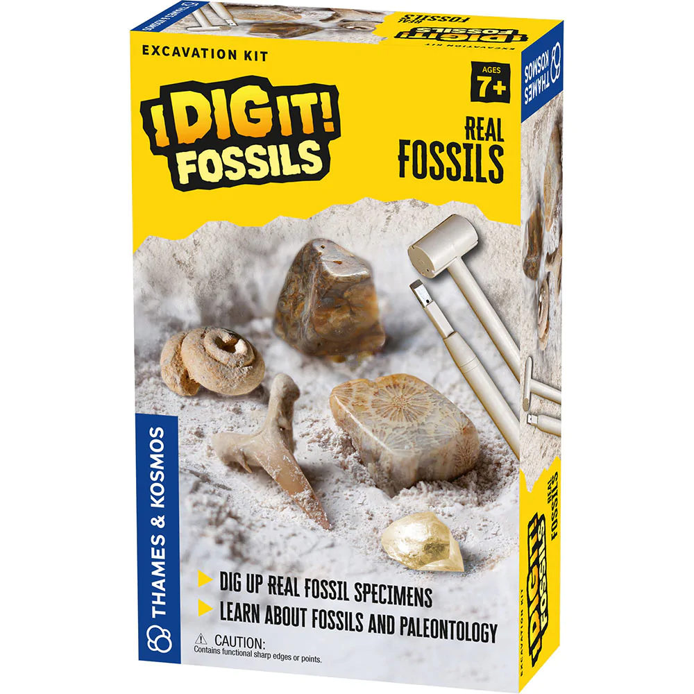 Thames & Kosmos I Dig It! Fossils (7+)