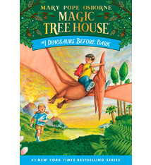 Magic Tree House by Mary Pope Osborne (ages 6-9)