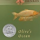 Olive's Ocean by Kevin Henkes (10+)