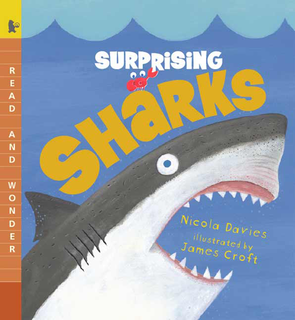 Surprising Sharks by Nicola Davies (ages 3-7)
