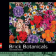 Chronicle Books Lego Brick Botanicals (1000 pcs)