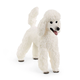 Schleich Poodle (13917)