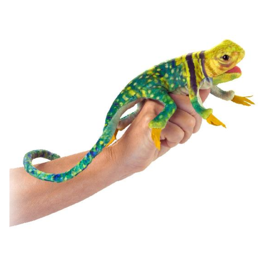 Folkmanis Mini Collared Lizard puppet