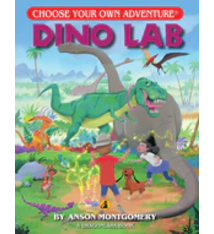 Chooseco Choose Your Own Adventure Books (ages 5-8)