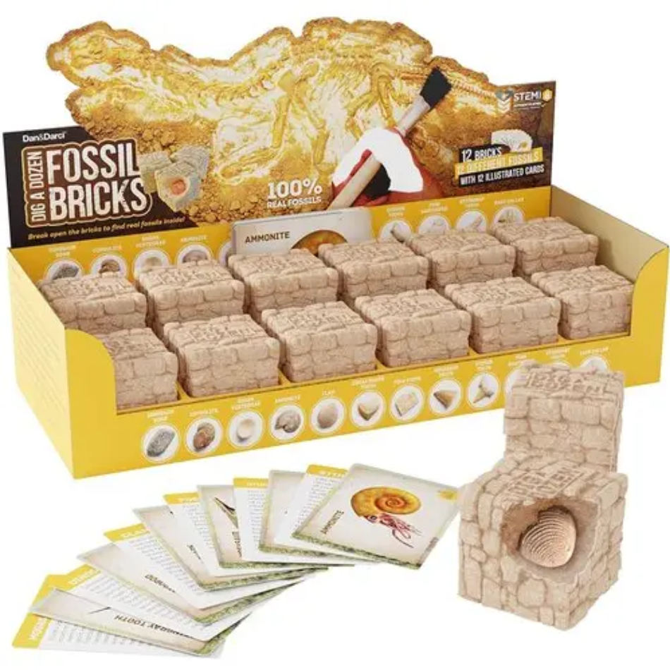Dan&Darci Dig-a-dozen Fossil Bricks (6+)