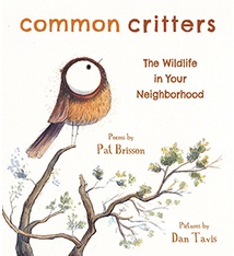 Common Critters: the wildlife in your neighbourhood (6+)