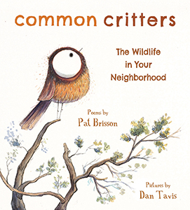 Common Critters: the wildlife in your neighbourhood (6+)
