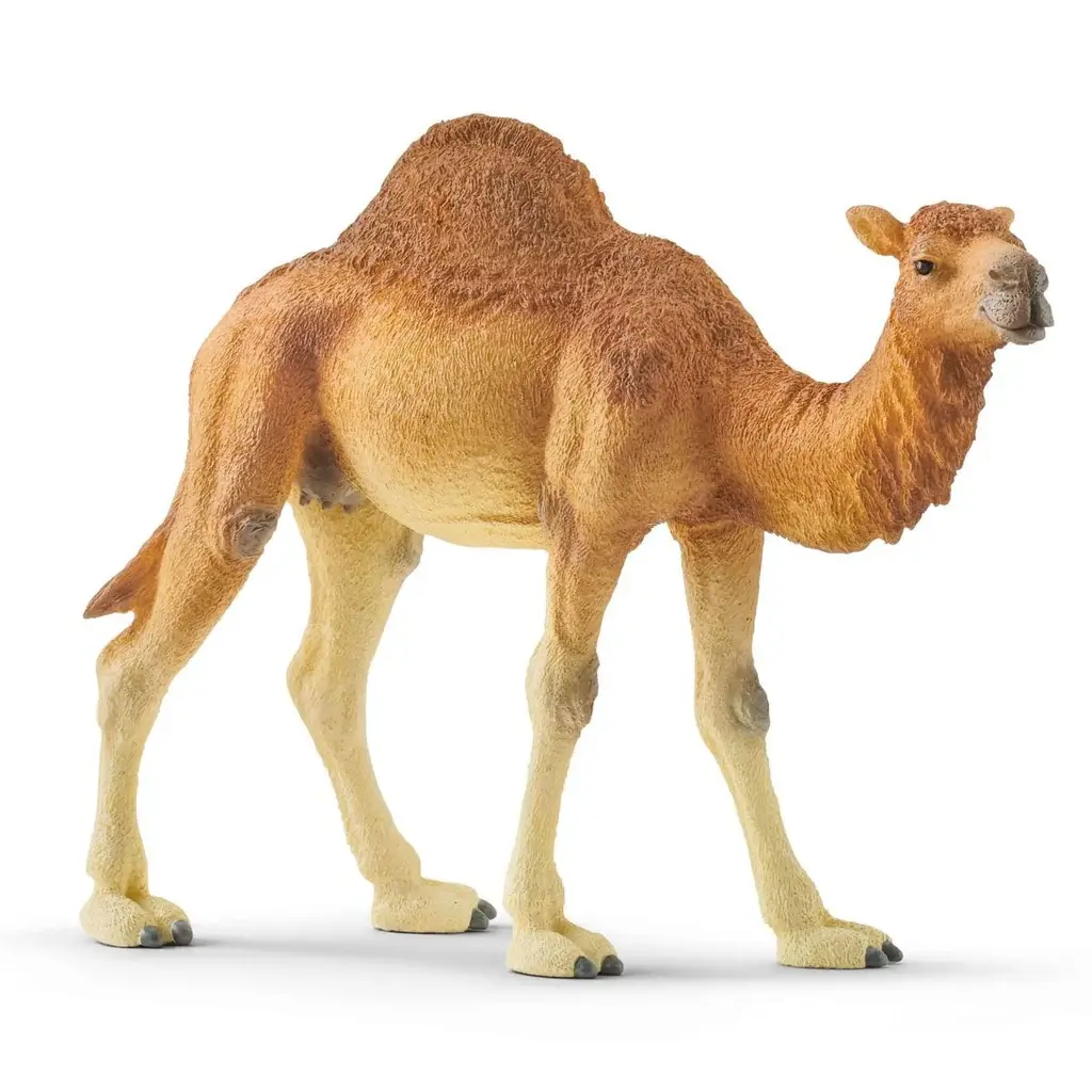 Schleich Dromedary (one-humped camel) 14832