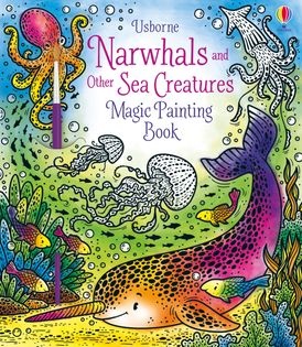 Usborne Magic Painting Book