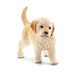 Schleich Schleich 16396 Golden Retriever Puppy