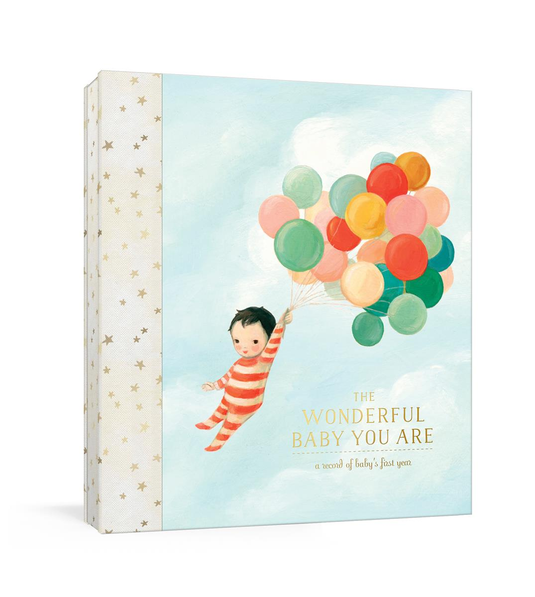 Clarkson Potter The Wonderful Baby You Are - Baby's First Year by Emily Winfield Martin